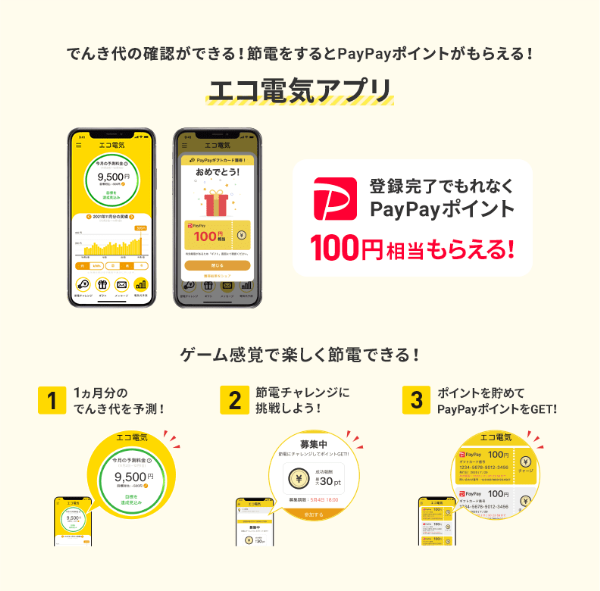 SBパワーキャプチャイメージ